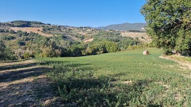 Seminativo a Lugnano in Teverina
