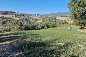 Seminativo a Lugnano in Teverina