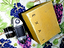 Immagine 2