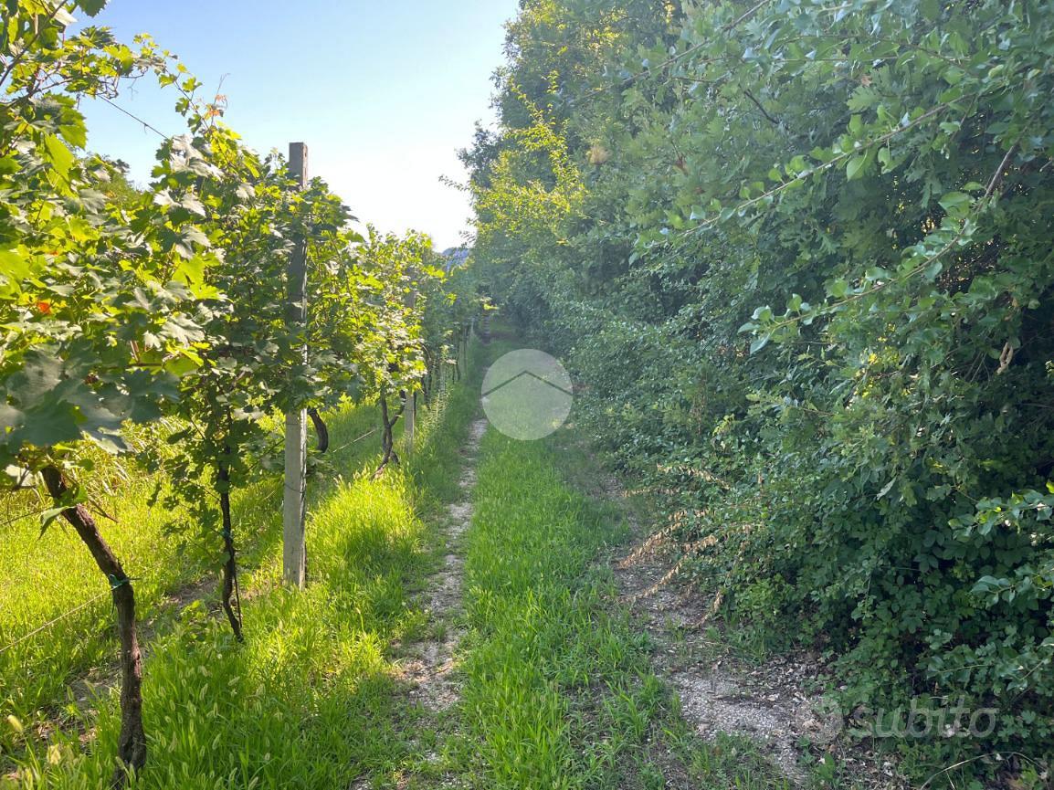 TER. AGRICOLO A CAPRINO VERONESE - Altro