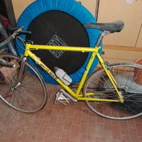 bici da corsa Probike vintage