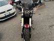 Benelli Leoncino 500 X