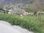 Immagine 17