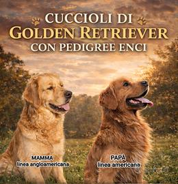 Cuccioli Golden retriever con pedigree ENCI