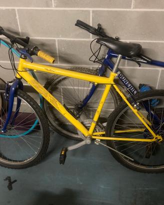 Bicicletta