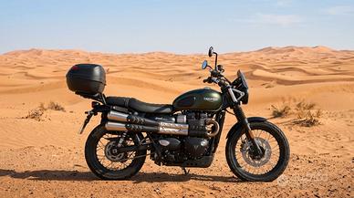 Triumph Street Scrambler 900