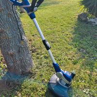 Tagliabordi elettrico