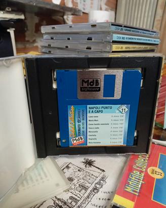 Lotto di 25 floppy disk Global Collection 