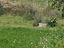 Immagine 24