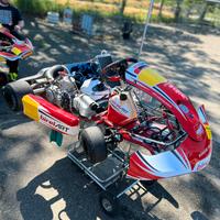 Kart birel s14 kz