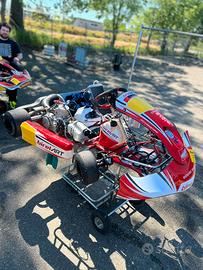Kart birel s14 kz
