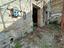 Immagine 12