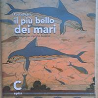 LETTERATURA ITALIANA - 1° LICEO SCIENTIFICO