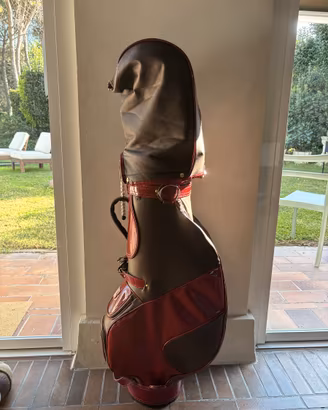 Set golf completo donna DX 14 mazze + sacca