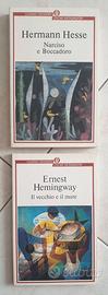 Libri Hammingway - Hesse