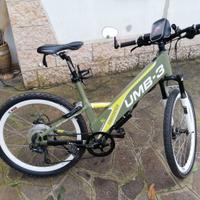 Bicicletta elettrica pedalata assistita