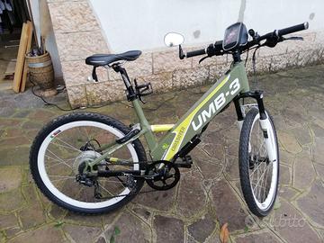 Bicicletta elettrica pedalata assistita