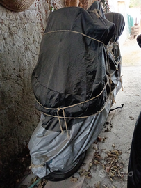 300 cc SCOOTER Wottan strom nuovissimo un km0