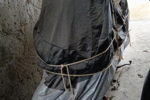 300 cc SCOOTER Wottan strom nuovissimo un km0