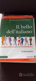 Il bello dell'italiano 