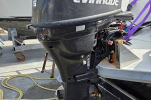 Evinrude 4T 15HP