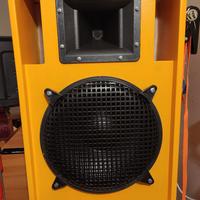 cassa passiva 500 watt rms full range