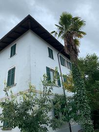 Appartamento grande