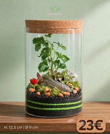 terrarium by Sterrarium 🌺