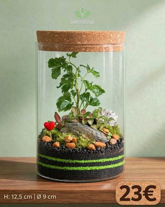 terrarium by Sterrarium 🌺