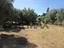 Immagine 28