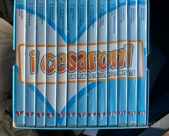 Dvd i Cesaroni cofanetto