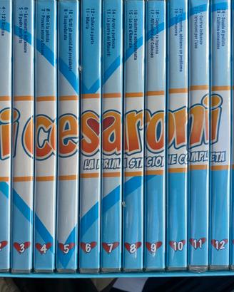 Dvd i Cesaroni cofanetto/Capri cofanetto