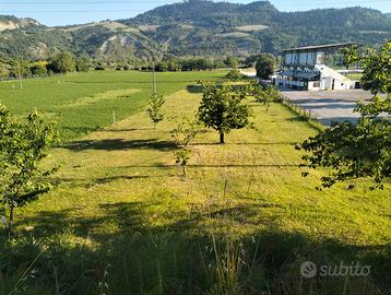 Terreno agricolo