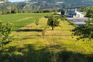 Terreno agricolo