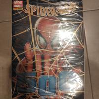 lotto SPIDERMAN anno 2008