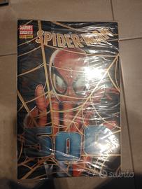 lotto SPIDERMAN anno 2008