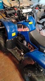 Quad 125 cc