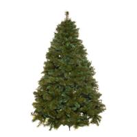 Albero di Natale COIN