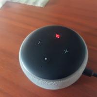 Echo dot Alexa non funzionante