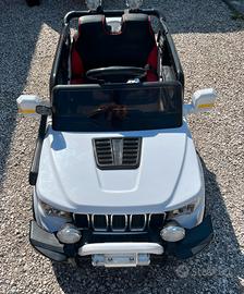 Auto elettrica