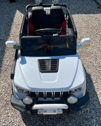 Auto elettrica