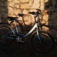 bicicletta  chesini da 20, 