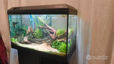 Acquario Askoll Tenerif 88 ( 130 litri )