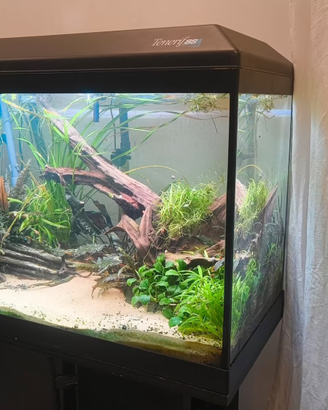 Acquario Askoll Tenerif 88 ( 130 litri )