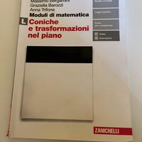 Moduli di matematica, modulo L