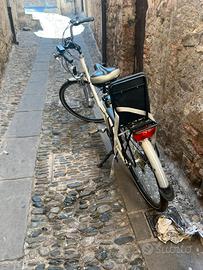 Bici assistita