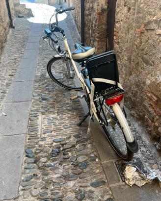 Bici assistita