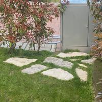 Pietre bianche da giardino