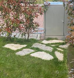 Pietre bianche da giardino