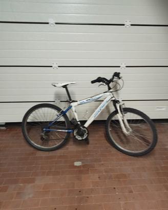 bici bambino ruote da 24"